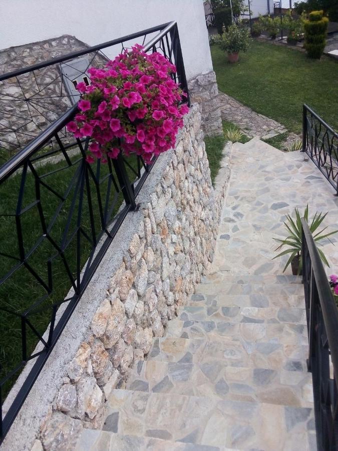 Guest House Stevovski Elshani Buitenkant foto