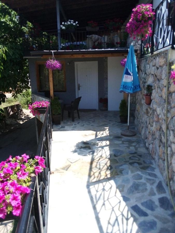 Guest House Stevovski Elshani Buitenkant foto