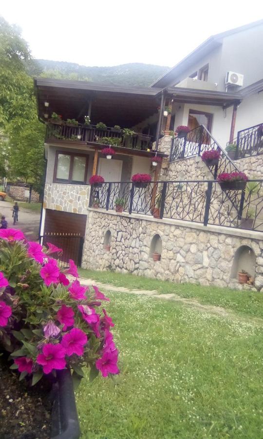 Guest House Stevovski Elshani Buitenkant foto