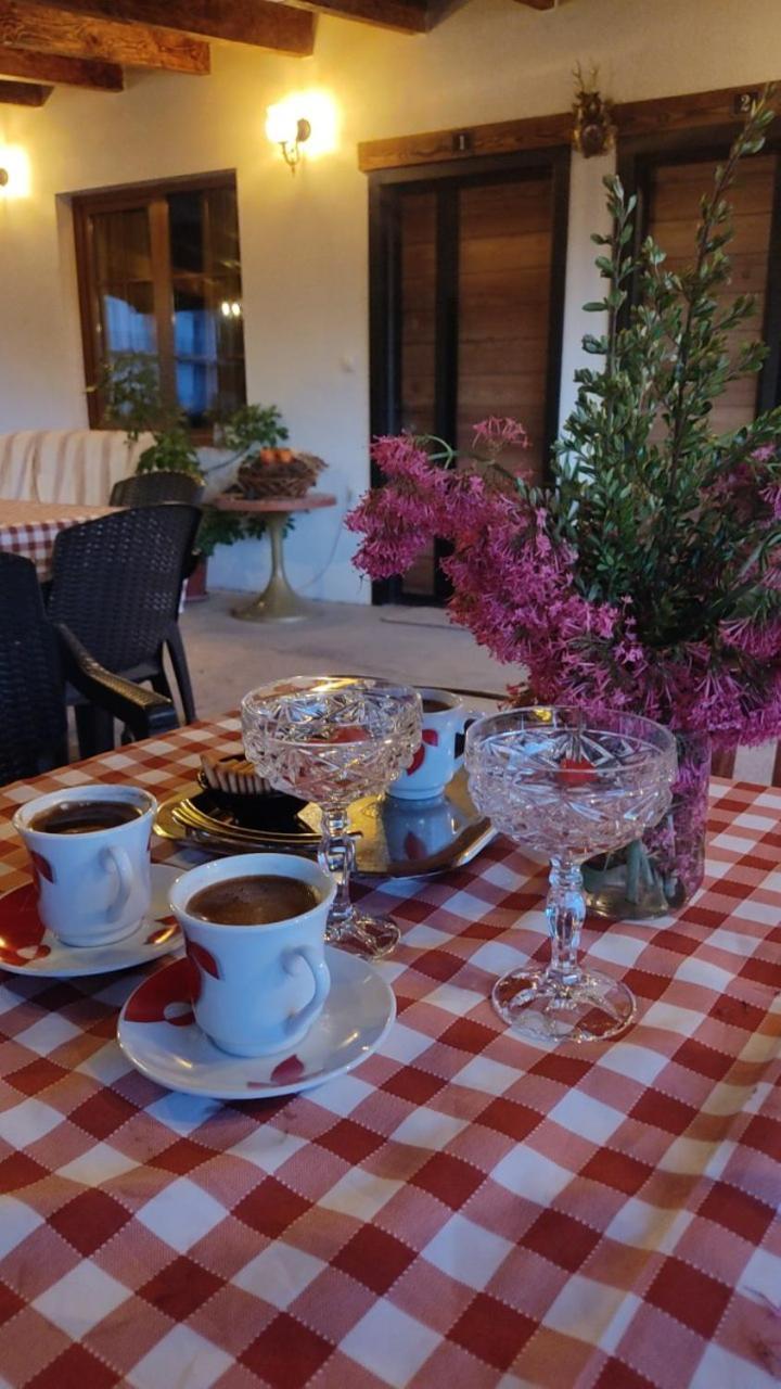 Guest House Stevovski Elshani Buitenkant foto