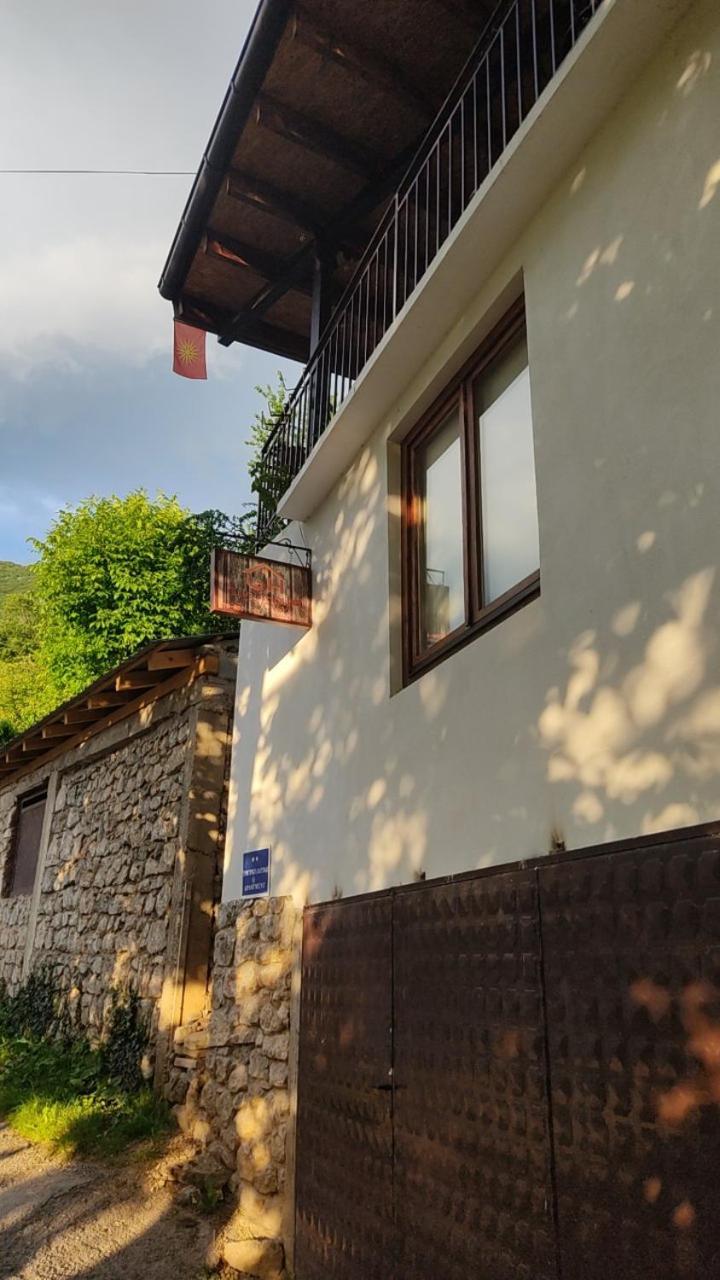 Guest House Stevovski Elshani Buitenkant foto