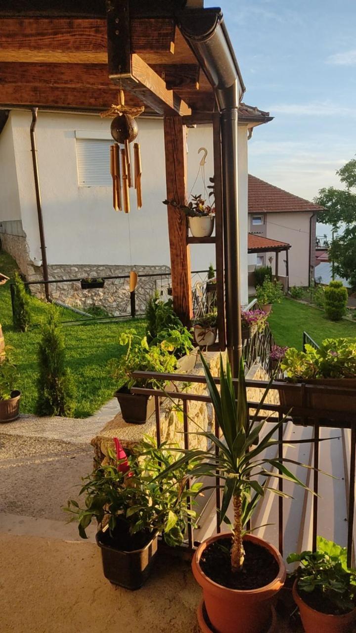 Guest House Stevovski Elshani Buitenkant foto